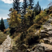 Harrachova cesta, která vznikla v letech 1876 – 79, je nejstarší turistickou trasou v Krkonoších (zdroj krnap.cz, Po stopách Jana hraběte Harracha v Krkonoších)