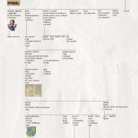 Pokračovateli rodu Janoviců byli Špetlové, kteří jejich erb a predikát směli užívat. Ticman z Janovic (†1362) a Budivoj Třemešský ze Železna (†1578), držitelé Bílé Třemešné, se tak v rodokmenu propojili