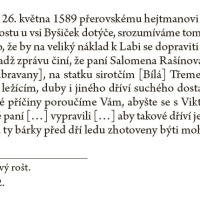 Dokument zmiňující Salomenu Rašínovou z Valdštejna a na Doubravanech v r. 1589 (zdroj DVT)