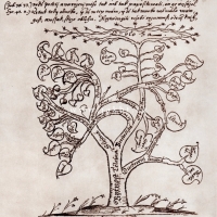 Hlubina bezpečnosti, rozepsaná v roce 1625