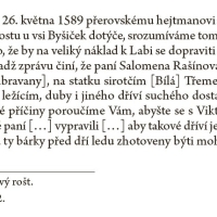Dokument zmiňující Salomenu Rašínovou z Valdštejna a na Doubravanech v r. 1589 (zdroj DVT)