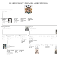 Schaffgotschové z Kynastu a Greiffensteinu, 6 majitelů Bílé Třemešné v letech 1656 - 1788
